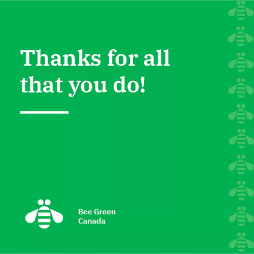 thank you card with bee green logo